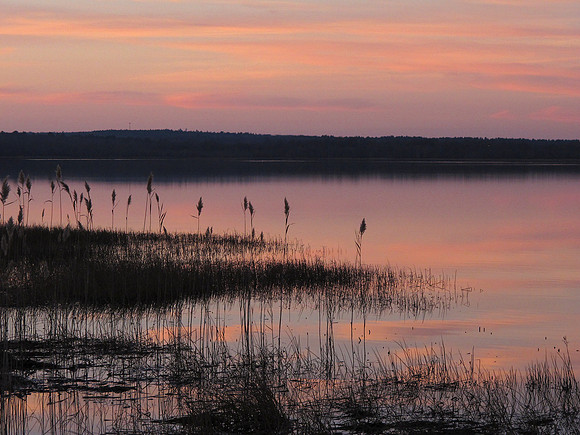Worden's Pond Grass & Reflections