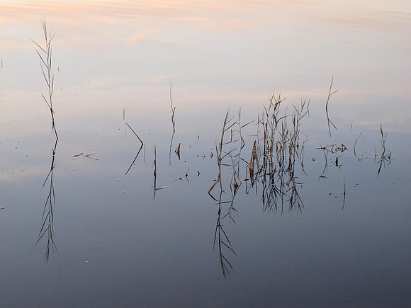 Worden's Pond Artistic Reflections